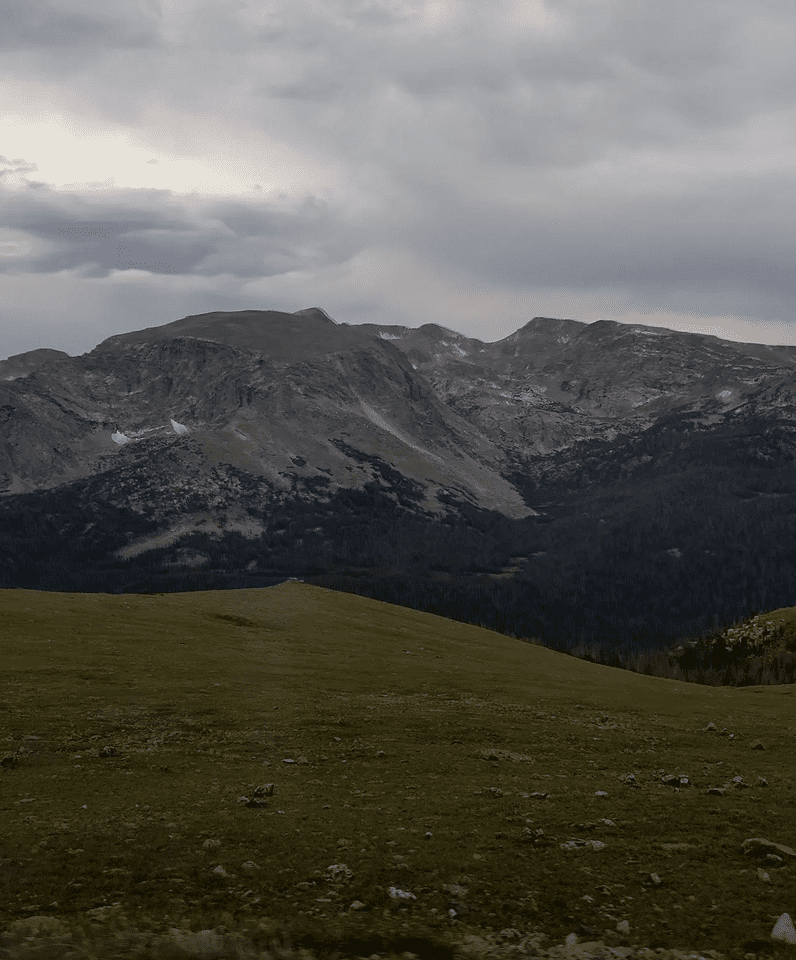 Green alpine meadow and cloudy mountain range