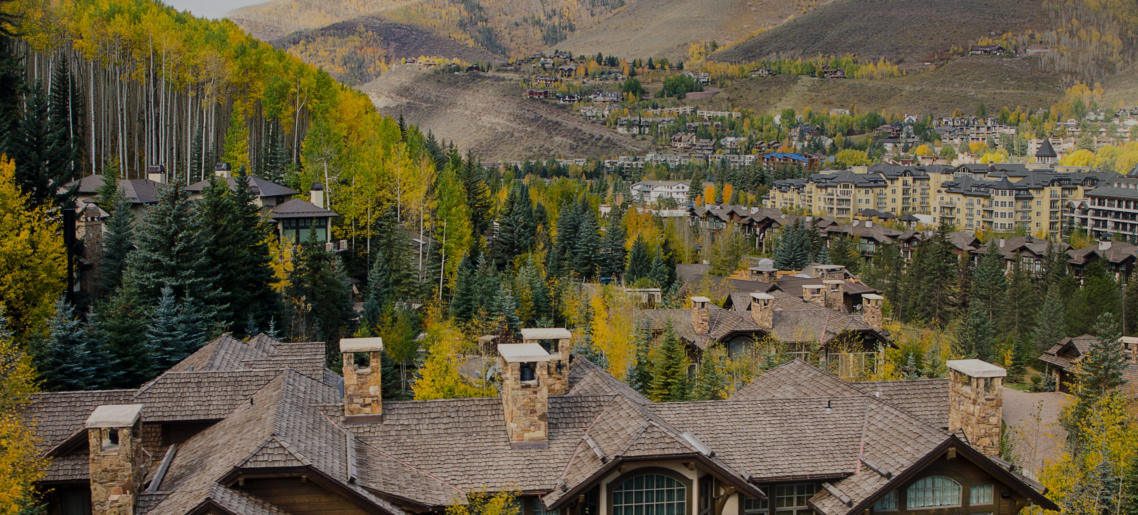 Scenic view of forested hills