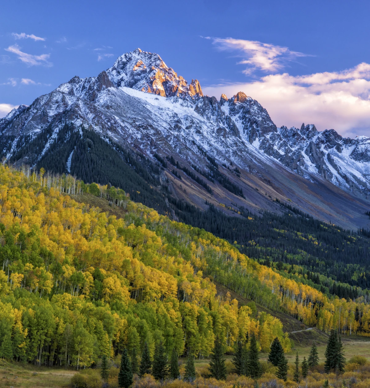 Snow-capped mountain with autumn aspen forest